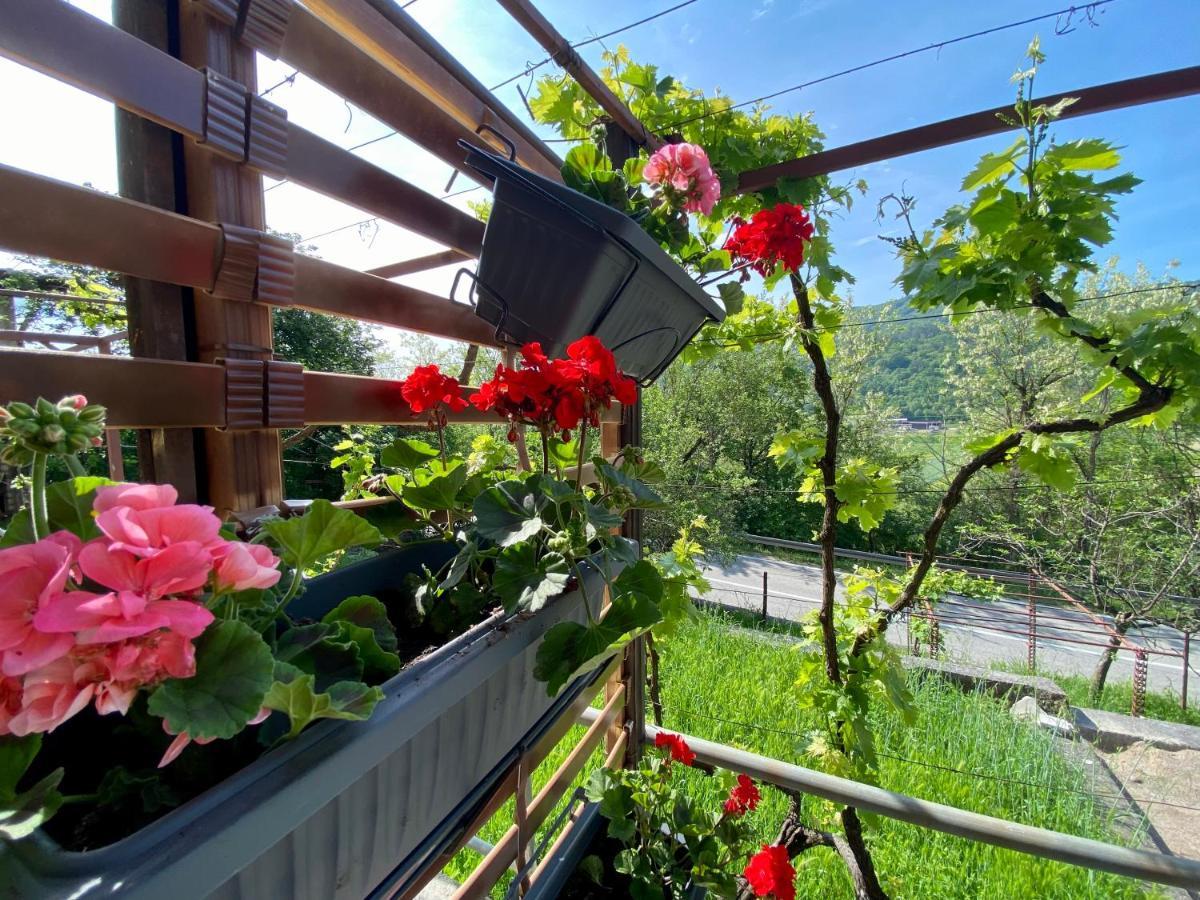 Apartman Verona Buzet Luaran gambar